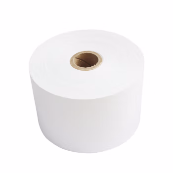 天威（PRINT-RITE）空白凭条纸  80*140mm（12卷/箱）GD