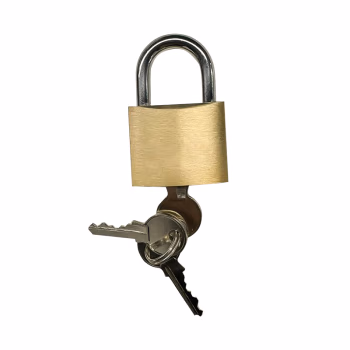 中犀 ZX-19 60mm 单通开铜锁 挂锁 1.00 个/把 (计价单位：把) 黄色