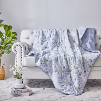 梦洁家纺(MENDALE) 1010289105 被子 1.00 件/床 (计价单位：床) 花色