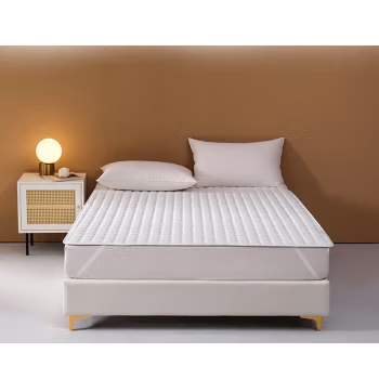 王朝时光 WCSGDZRZ-03 180cm*200cm 垫子褥子 (计价单位：件) 白色