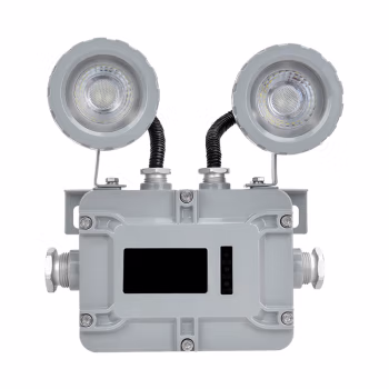 吉特(GT) ZH-ZFZD-E6W-BG6602 2×3W IP66 Ex d IIC T6 Gb 电压AC220V LED 5500K 消防应急照明灯具 (计价单位：盏) 银灰色