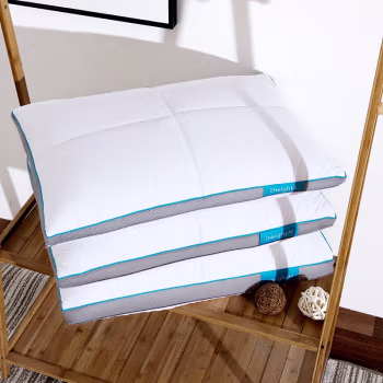 伊伊爱 ZX-9YSR-001 48*74cm 全棉天鹅湖中枕单人枕 枕芯 1.00 件/个 (计价单位：个) 白色