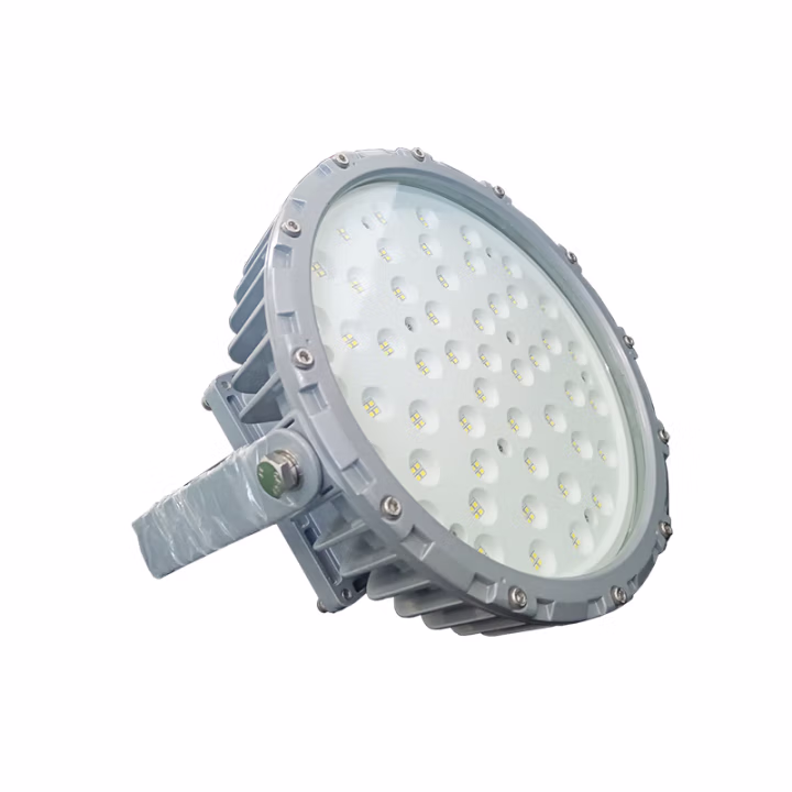 鼎晟丰(DSF) DSFG-911 AC85-265V 60W IP67 LED泛光灯 (计价单位：个) 灰色