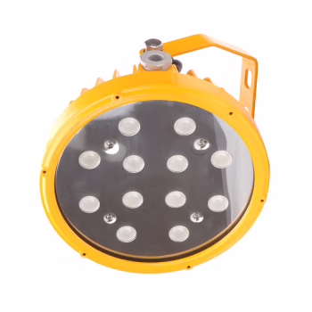 恒盛(HS) BF390A 30W IP65 ExdIICT6 Gb AC220V 白光/约5700K LED 防爆投光灯 (计价单位：盏) 黄色