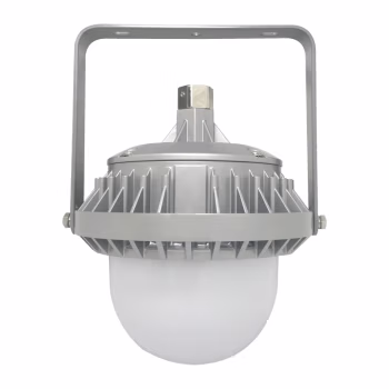 领航电器(LHDQ) LHF2109C 50W IP65 220V 冷光 色温6000K 光源类型LED LED平台灯 (计价单位：个) 灰色