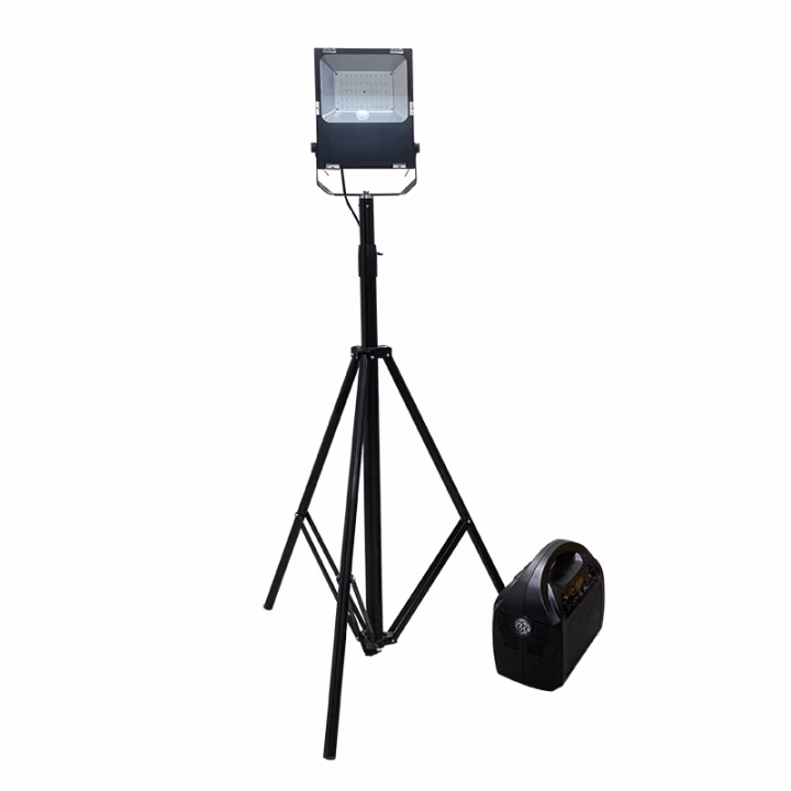 劲荣 DHG32 50W AC220V 6500K IP65 LED轻便式移动灯 1.00 台/套 (计价单位：套) 黑色