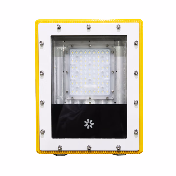 深照紫光 GB8040-60W EXD IIC T6 GB 防爆LED泛光灯 1.00 盏/套 (计价单位：套) 黄色