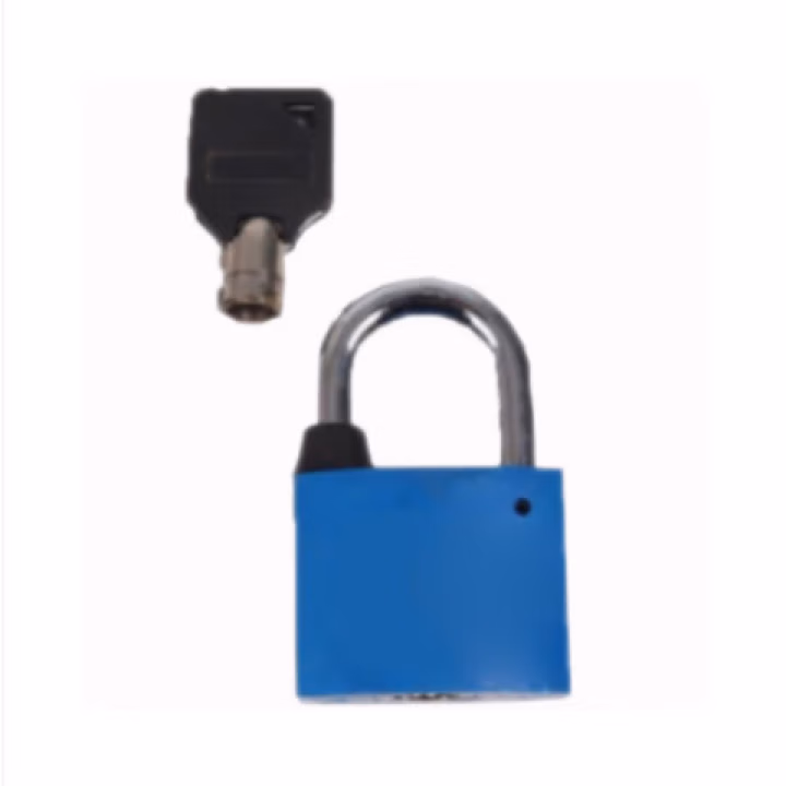 萨威帝尔 SWSS6030B 30mm 塑钢 挂锁 1.00 个/把 (计价单位：把) 蓝色