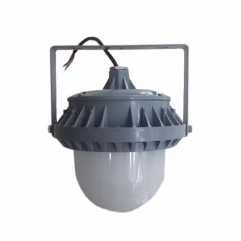 领航电器(LHDQ) LHF2109 30/50W IP65 LED平台灯 (计价单位：个) 灰色