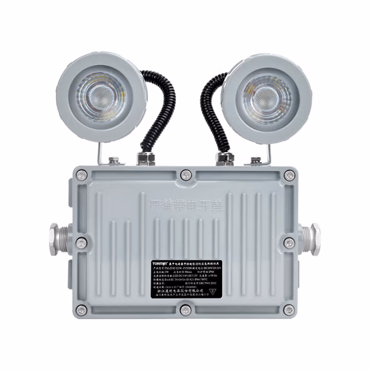 通明 TM-ZFJC-E3W-ZY5200带系统 2×1.5W IP66 DC36V 5000K白光 集中控制型消防应急照明灯具 (计价单位：盏) 灰色