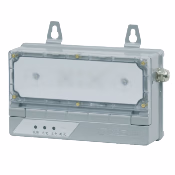 华荣(WAROM) HR-ZFZD-E5W 消防应急照明灯具 1.00 盏/套 (计价单位：套) 灰色