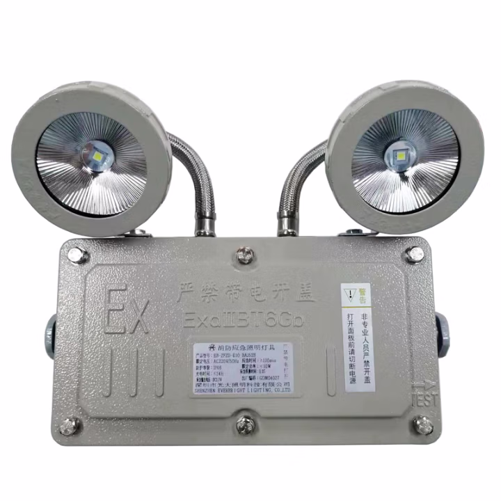 光大 EB-ZFZD-E10-BAJ52B LED AC220V/50Hz 10W  IP65 6000K 消防应急照明灯具 (计价单位：盏) 银色