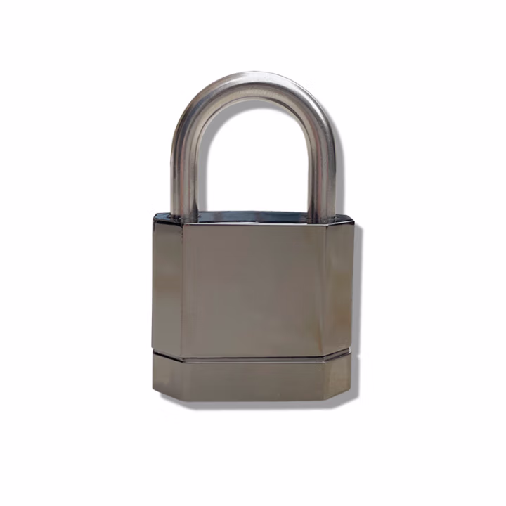 苏电 SD-ZW69 指纹挂锁 1.00 个/把 (计价单位：把) 灰色