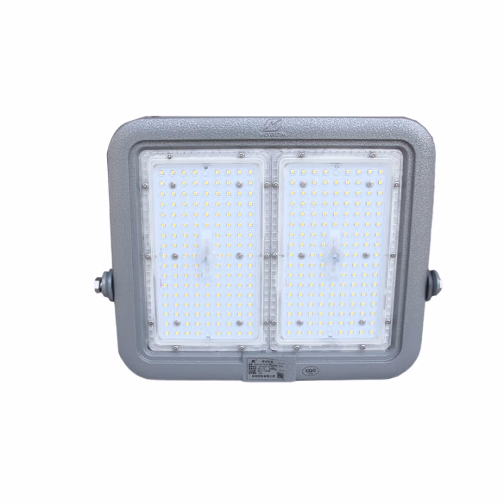 华荣(WAROM) RLEFL336-XL120 AC220V 120W 防护等级IP65 投光灯具 (计价单位：个) 灰色