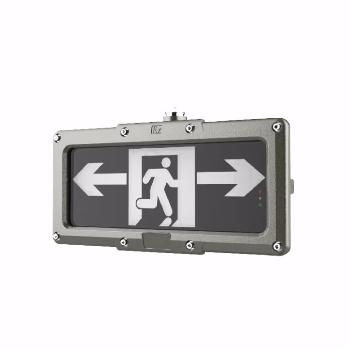 欧辉照明(OHUIZAOMIN) OH-BLZD-1LROE I 6W-ZBXE8191 双向 3W IP66 AC220V 白光/5700K LED 防爆应急标志灯 1.00 盏/套 (计价单位：套) 灰色