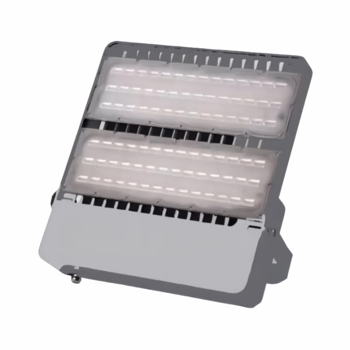 维莱奥斯 TGD1002-G（含安装）100W IP66 220V 5700K LED投光灯 (计价单位：个) 银色