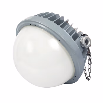 通明 BC9302P-L40-200 40W IP66 ExdIICT6Gb/ExtDA21IP66T80℃ AC90~264V 5000K 白光 LED防爆平台灯 (计价单位：盏) 灰色