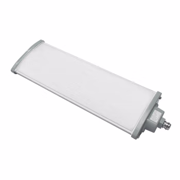 通明 BC5402D-L40 40W IP67 ExnRIICT6Gc AC185~264V 5000K 白光 LED防爆灯 (计价单位：盏) 白色