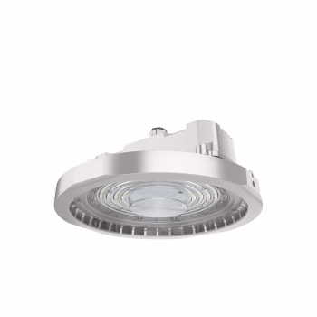 欧辉照明(OHUIZAOMIN) OHSF9196A 100W IP66 AC220V 5700K 白光 LED三防灯 (计价单位：个) 灰色