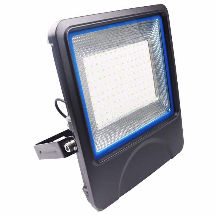 鼎晟丰(DSF) DSFG-938A AC85-265V 100W IP65 5500K LED移动投光灯 (计价单位：个) 黑色