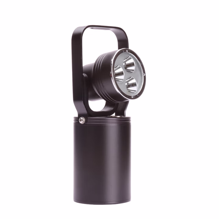 恒盛(HS) BJ951 9W、IP65、ExdIICT6 Gb、续航时间：强光8h/工作光16h、电压等级：11.1V、白光/约7500K、LED 轻便式多功能防爆灯 (计价单位：盏) 黑色