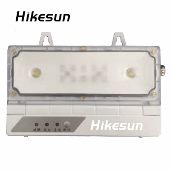 和齐顺(Hikesun) LDJ001 50W-200W IP65 11.1V 6500K LED 消防应急照明灯 1.00 盏/个 (计价单位：个) 灰色