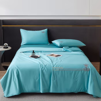 伊伊爱 BZ0TDC2301107 200*230cm 被子 1.00 件/条 (计价单位：条) 安格斯湖蓝