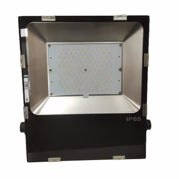 明号电器(MH) LF2102-50 50W IP65 220V 6000K LED泛光灯 (计价单位：个) 黑色