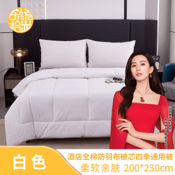 东纺拾光 DF3014 200*230cm酒店全棉防羽布被芯四季通用被 被子 (计价单位：件) 白色