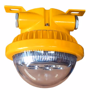 奔冲 BC330  20-30W Exd IICT6 6000K 防爆灯 (计价单位：盏) 黄色