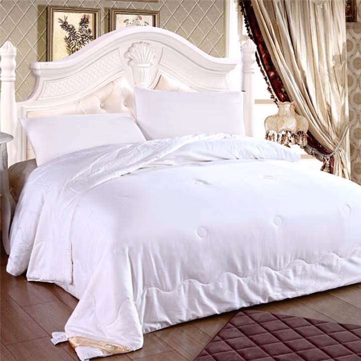 伊伊爱 BZ-9CSB050-02 春秋被 毛重3斤 200*230cm 蚕丝被 (计价单位：件) 白色