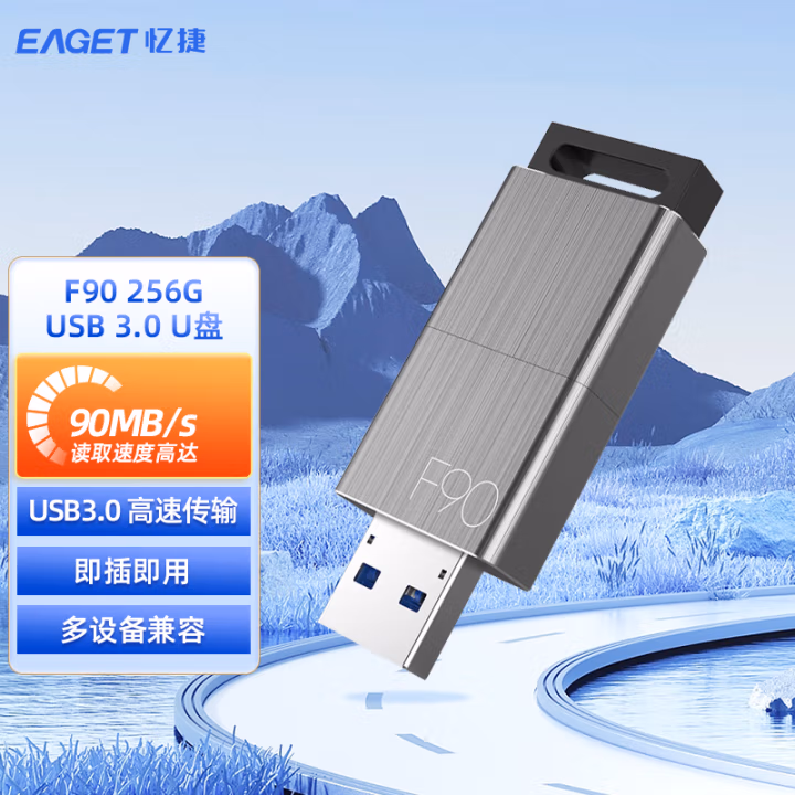 忆捷（EAGET） F90-256G USB3.0 高速金属推拉式 U盘 (计价单位：个) 锖色