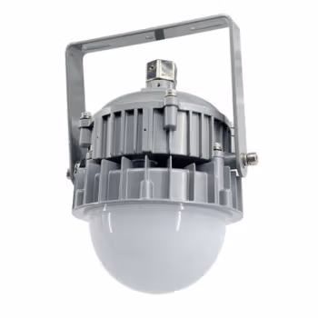 海洋王 NFE9190-GW 额定50W/应急5W IP66 续航时间≥2.5h 220V 冷白 LED LED应急平台灯 (计价单位：个) 银色