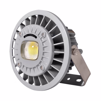 吉特(GT) BG8602S-40W-90X110° 40W IP66 Ex d ⅡC T5/T6 Gb 电压AC90~264V 色温5000K LED防爆灯 (计价单位：盏) 银灰色