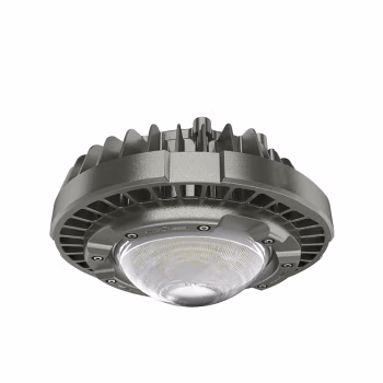 欧辉照明(OHUIZAOMIN) OHBF8234-140W 电压：AC220V 50Hz
防爆标志：Exd IICT6Gb
光 通 量：120lm/w
防护等级：IP66 LED防爆灯 1.00 盏/套 (计价单位：套) 灰色