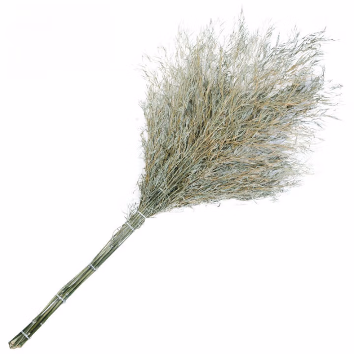 海亚森 TK-2080 长185-200cm，幅面宽80-100cm，重1.8-2.2公斤大号竹制竹连体扫把 扫帚 (计价单位：把) 黄色