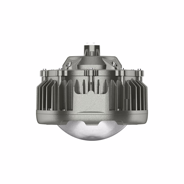 欧辉照明(OHUIZAOMIN) OHBF8231-70W
电压：AC220V 50Hz
防爆标志：Exd IICT6Gb
光 通 量：120lm/w
防护等级：IP66 LED防爆灯 1.00 盏/套 (计价单位：套) 灰色