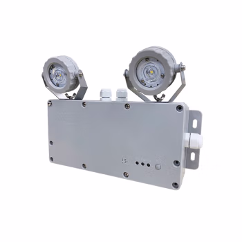 海洋王 ZFZD-E2W9401-GW 2W IP66 应急时间2h 主电220V/应急3.6V 冷白 LED 应急照明灯 (计价单位：盏) 灰色