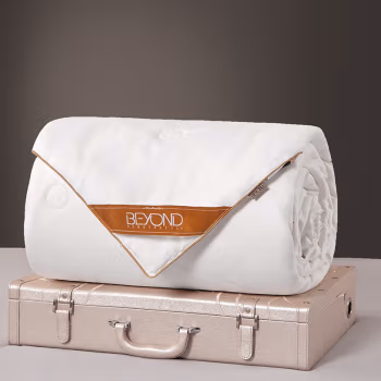 博洋家纺(BEYOND) W920132313010 150*210cm 雅菲蚕丝春秋被 1.00 件/条 (计价单位：条) 白色