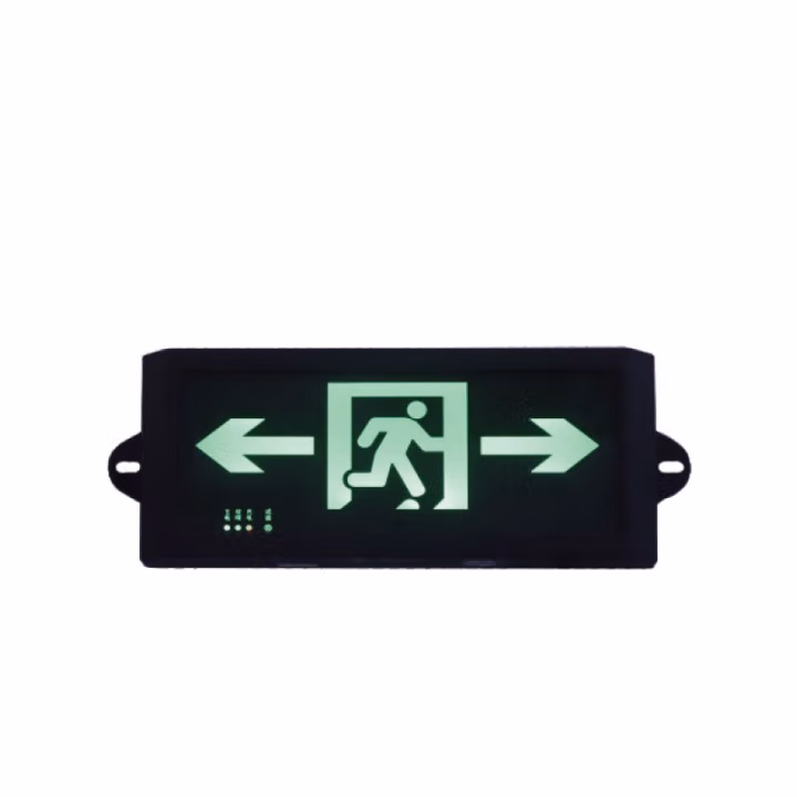 惠乐为 乐惠LH-BLZD-Ⅰ1LROE3W-116B 220V 3W 消防应急标志灯具 (计价单位：盏) 黑色