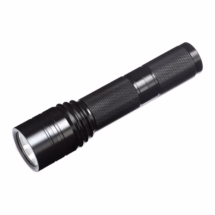 鼎晟丰(DSF) DSFB-6101 3.7V 3W Ex de IIC T6 Gc 袖珍防爆强光手电 (计价单位：个) 黑色