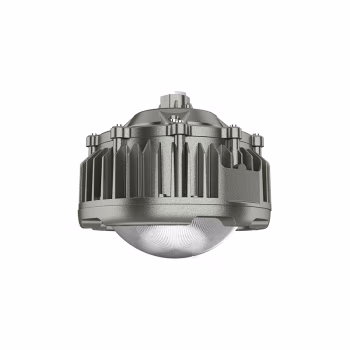 欧辉照明(OHUIZAOMIN) OHBF8231-100W 电压：AC220V 50Hz
防爆标志：Exd IICT6Gb
光 通 量：120lm/w
防护等级：IP66 LED防爆灯 1.00 盏/套 (计价单位：套) 灰色