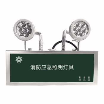 深照紫光 GB8013-6W 防护等级IP66 220V 色温5000K 消防应急照明灯 (计价单位：盏) 军绿色