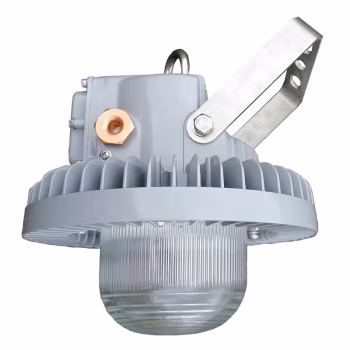 立华王(LihuaKing) LH8200-A 60W IP65 电压AC220V 光源色温5700K LED平台灯 (计价单位：个) 银灰色