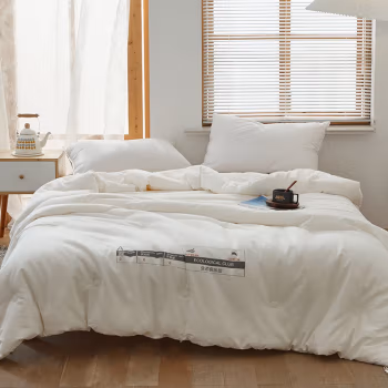 婵思 TJ0EOE2100648 220*240cm 总重8.4斤填充2750克 有有大豆 春秋被 1.00 件/床 (计价单位：床) 白色