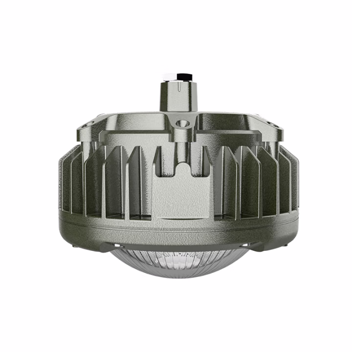 欧辉照明(OHUIZAOMIN) OHBF8231 50W IP68 AC220V 5700K 白光 ExdIICT6Gb LED防爆灯 (计价单位：盏) 灰色