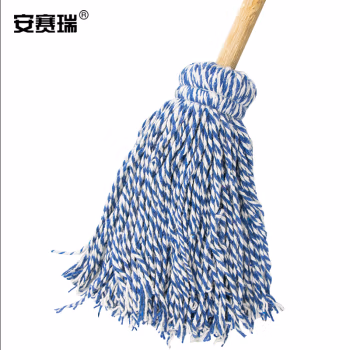 安赛瑞 12874 （5把装） 拖把 5.00 把/组 (计价单位：组) 蓝色