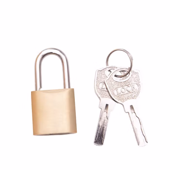 中犀 ZX-65 30MM  蛇形铜 挂锁 (计价单位：个) 黄色