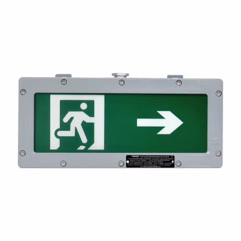 通明 TM-BLJC-1LROE I 3W-BC4200带系统 3W IP66 ExdelICT6Gb/ExtdA21 IP66 T80℃ DC36V  向右 LED绿光 集中控制型消防应急标志灯具 (计价单位：盏) 灰色