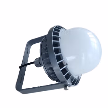 维莱奥斯 PTD1002-G（含安装） 100W 6500K IP65 WF2 220V LED平台灯 (计价单位：个) 银色